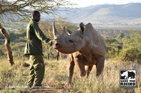 Black Rhino And Ranger Save The Rhino International - Rhino Stationery