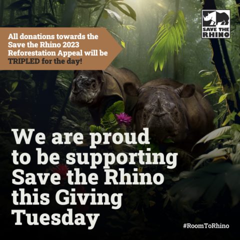 How to make a difference this Giving Tuesday - Rhino Stationery