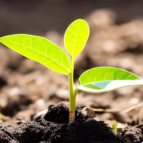 The Importance of Sustainability in Paper-Based Stationery Products - Rhino Stationery