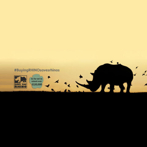 Save the Rhino International - Rhino Stationery