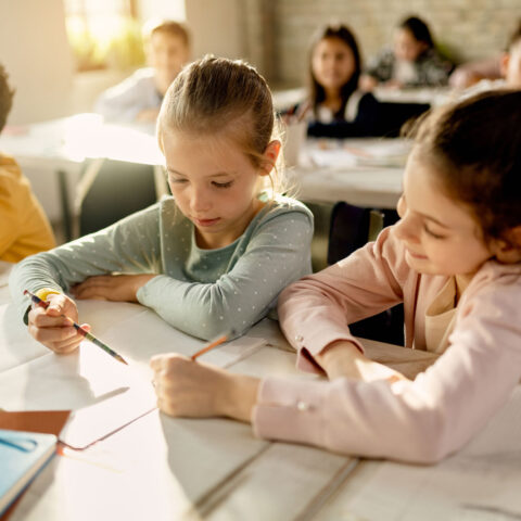 How To Make The Most Of RHINO’s Project Books In The Classroom - Rhino Stationery